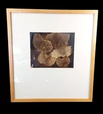 Soicher Marin 3d Fine Art Dried Mushrooms