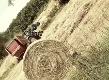 hay for sale