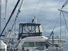 SeaRay 360 Aft Cabin Cruiser _ Our Seattle Apartment