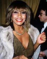 Tina Turner 8x10 Real Photo 1980's in low cut green dress and fur coat