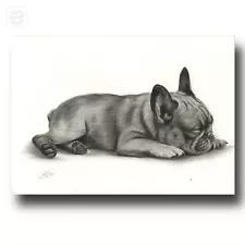 Bully French Bulldog Bulldog Dog Charcoal Charcoal Painting Drawing Painting Art