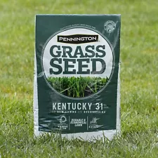 31 Tall Fescue Grass Seed for Sun to Partial Shade 20 lb Covers 4,000 sq. ft.