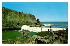 The Cliff House Ogunquit, Maine (Bald Head-House Shore) 1950s Postcard Un-posted