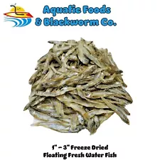 1"- 3" Fresh Water Fish --- Freeze Dried for Large Fish, Turtles, Reptiles