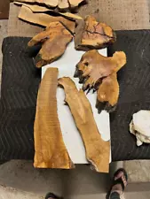 #793 Bundle OLIVE wood burl slabs for resin tray etc 200 yr old Rawcut