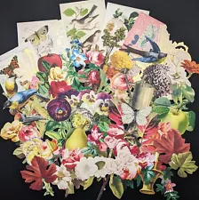 Anna Griffin 60 Pc - FALL VINTAGE GARDEN Die Cuts (Read Ship Deal) HTF!!!!!!!!!