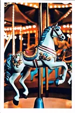 NEW Custom Designed Printed 4x6 Postcard Carousel Horse Circus Amusement Park