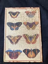 Butterfly Display 8.5” x 6.5” Wall Plaque