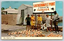 FL Key West, Sea Shells for Sale Conch Sales Southernmost Point, Chrome Unposted