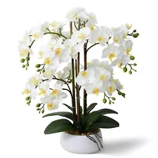 Artificial Orchid Flowers & Plants Potted in Ceramic Pot, White Faux Phalaeno...