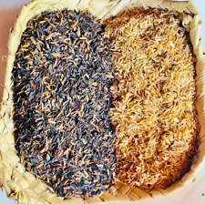 Burned Rice Husk Ash & Not Burned Rice Husk, Organic Fertilizer for all plants