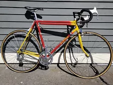 Alpine Vintage Campy Road Bike 22.5" - price lowered for sale!