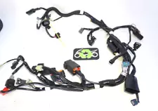 Z125 Pro 125 Kawasaki 2023 MAIN Wiring harness OEM 869 Miles 239835 OEM (For: Kawasaki Z125 Pro)