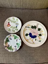 Vintage Hand Painted Plates Blue Ridge + Others