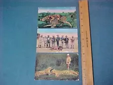 (3) Antique 1910 African Masai Tribe Lion Spear Kill Roosevelt Hunting Postcards