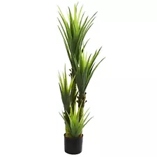 4.5' Dracaena Plant - h4.5 ft. w12 in. d12 in h4.5 ft. w12 in. d12