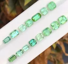 11.85 Ct faceted Lite Green color Lot Tourmaline loose Gemstone From Afghanistan