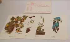 18 Best Loved Bird Prints By Audubon In Original Envelope 12 x 9 COMPLETE