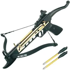 (New in box)Self Cocking 80Lb Tactical Handheld Hunting Archery Pistol Crossbow