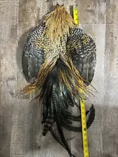 Full Creek Barred Ginger Rooster Skin Saddle Cape Fly Tying Fishing Feathers