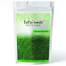 hulled bermuda grass seed for sale