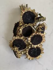 dried sunflowers for sale