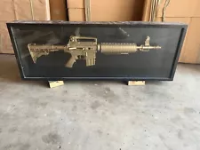 Gold AR-15 Airsoft Rifle encased Artist Ostrich M-4 Prototype