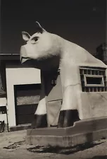 Black and White Photograph of Frank's Hog Stand San Antonio (Pig-Shaped Stand)