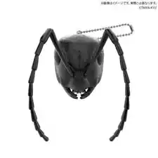 Trading Figure Ant Metallic Specification Tama-Kyu 100X Zoom And Bee Face