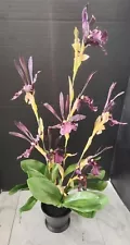 Artificial Zygopetalum orchid Plant