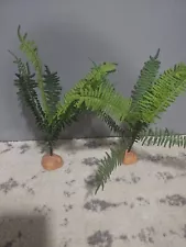 Terrarium Small Ferns Decor