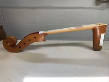 Bass Neck, Upright Acoustic Bass