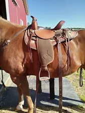 steve edwards mule saddle