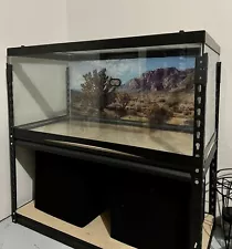 40 Gal Terrarium, Stand & Accesories