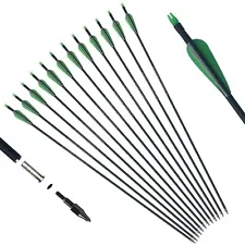 12pcs 30'' Fiberglass Practice Target Archery Arrows with Replaceable Arrowheads