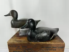 Hollow Bluebill Duck Decoy pair Attributed to Finkle/Fitch Branded HALL