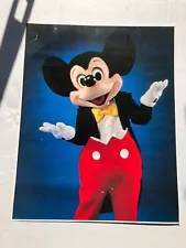 vintage mickey mouse pictures 20x16 Mickey Mouse and Mini Mouse