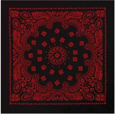 Rothco 4349 X-LARGE 27" Jumbo Trainmen Paisley Cotton Sport Biker Bandana