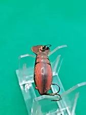 Vintage old lure brown/orange small crayfish crankbait for walleye fishing