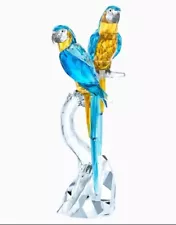 MIB Swarovski Crystal Animal Figurine Macaw Magnificent Paradise Birds 5301566