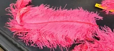 New ListingLot Of 10 Ostrich Feathers Candy Pink 20-24" Length 6-7" Wide