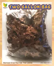 2023 Dried Oak Leaves For Terrarium-Vivarium-Insect Habitat