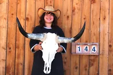 STEER SKULL ART POLISHED LONG HORNS MOUNTED 2' 6" COW BULL LONGHORNS HS144