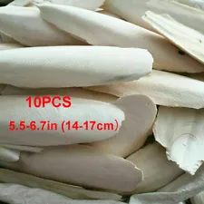 10/20PC Cuttlebone Cuttlefish Bone Sepia Cuttle Fish Pet Bird Food Calcium set^