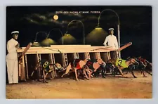 Miami FL- Florida, Dog Racing, Antique, Vintage Souvenir Postcard