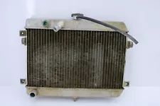 2002 Suzuki Vinson 500 ENGINE RADIATOR COOLING RADIATER 17710-03g10 127S (For: Suzuki Vinson 500)