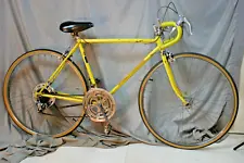 1974 Schwinn Continental Vintage Touring Road Bike Small 51cm Steel USA Shipper!