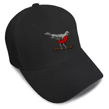 Baseball Cap Animal Bird Wildlife Robin Acrylic Dad Hats for Men & Women 1 Size