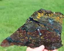 "NEW FIND" GOLD LEAF JASPER SLAB 345 grams Rock/agate/rough/mineral/cab/gem