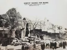 C 1940 Habitat Scenes Bears Chicago Zoological Park Brookfield IL RPPC Postcard